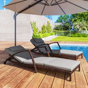Set of 2 Chaise Lounge Chair Outdoor Patio Lounger with 5 Adjustable Back (Option: Gray-1040x650x310 mm)